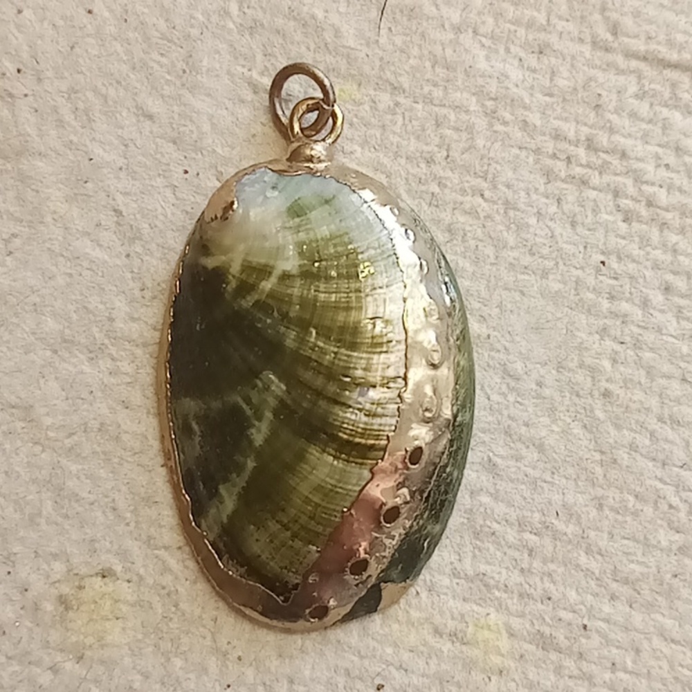 Shell Pendent Dipped In Gold - image 1